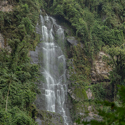 Nature Nature